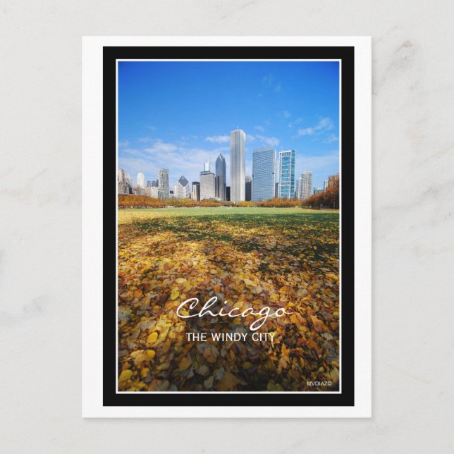 Chicago, THE WINDY CITY Postcard (Front)