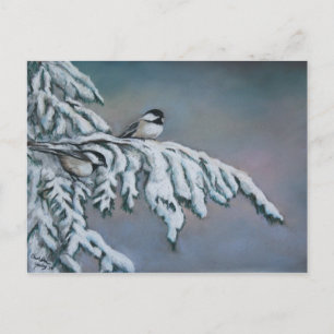 Chick-a-dees in the Snow Bird Art Postcard