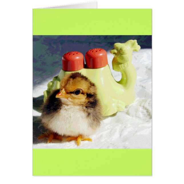 Chick and Camel (Front)