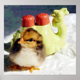 Chick and Camel Poster