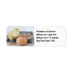 Chick and Egg Carton with Brown Egg