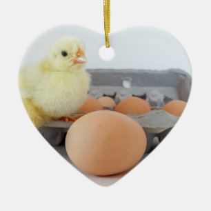 Chick and Egg Carton with Brown Egg Ceramic Tree Decoration