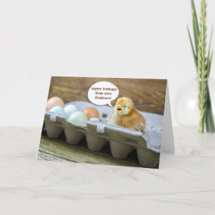 chick and eggs in carton for Dad's birthday Card