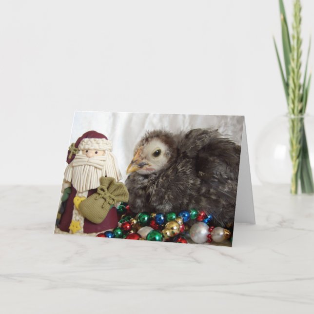 Chick and Santa Christmas Holiday Card (Front)