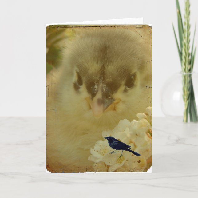 Chick Card (Front)
