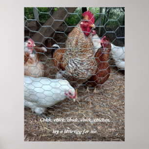 Chick chick chicken fun poster