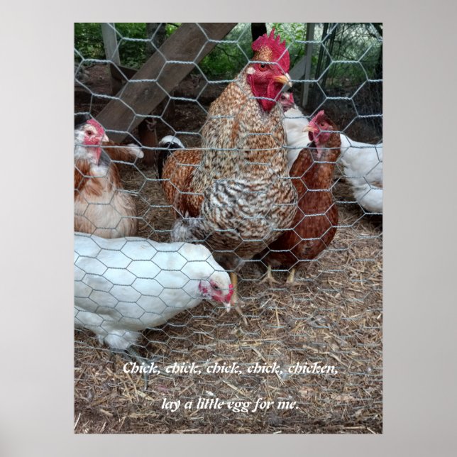 Chick chick chicken fun poster (Front)