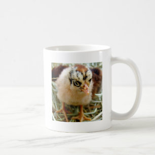Chick Coffee Mug