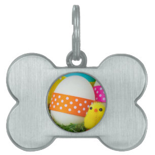chick easter egg hunt pet name tag