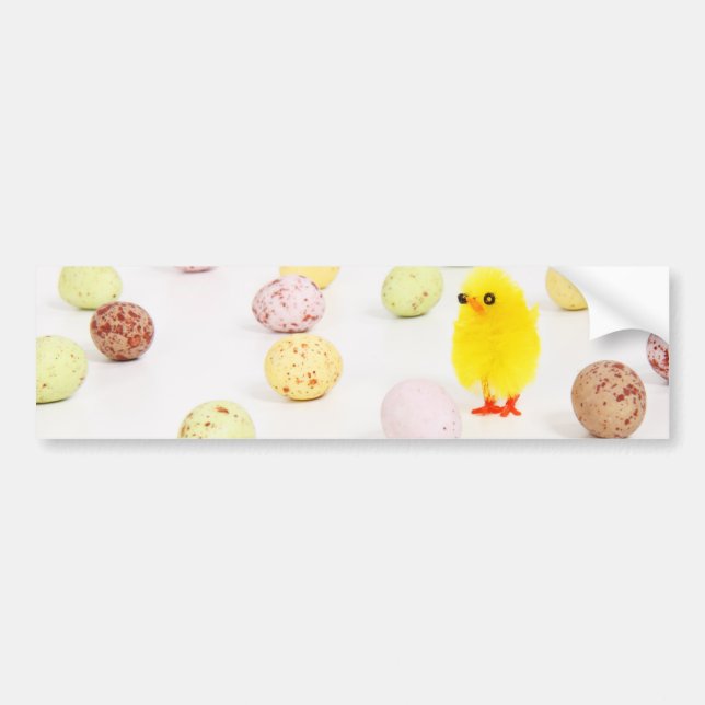 chick eggs easter bumper sticker (Front)
