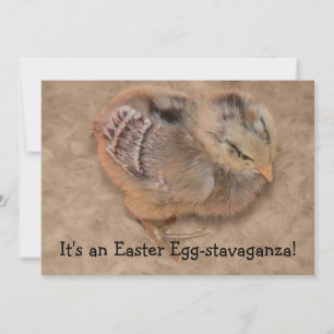 Chick - Fluffy Baby Chicken Easter Invitation