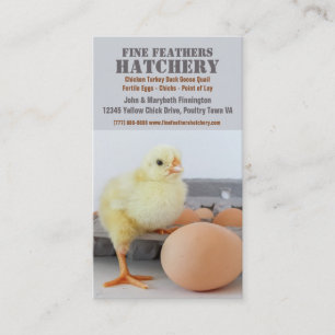 Chick in Egg Carton Chicken Hatchery Business Card