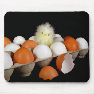 Chick in Egg Carton Mouse Pad
