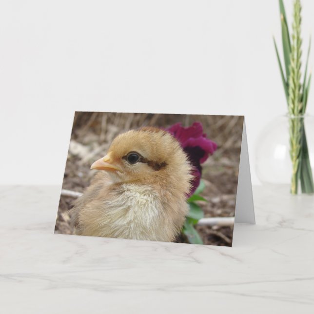 Chick in Pansy Garden Easter Card (Front)