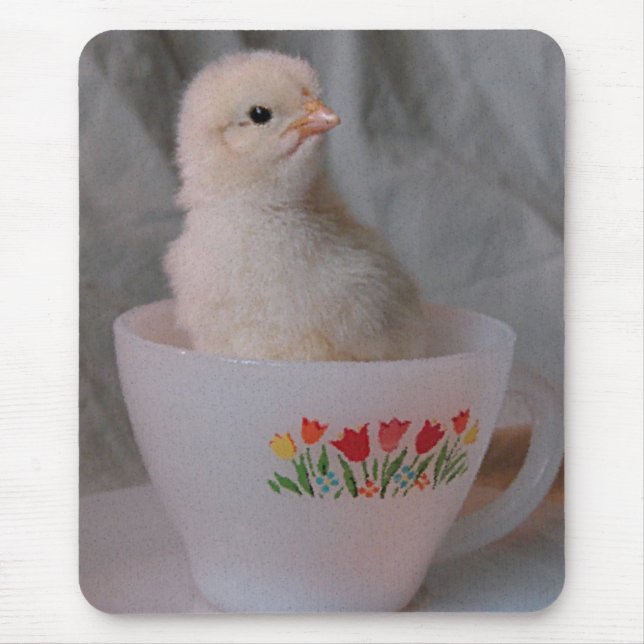 Chick in Vintage Teacup Mouse Pad (Front)