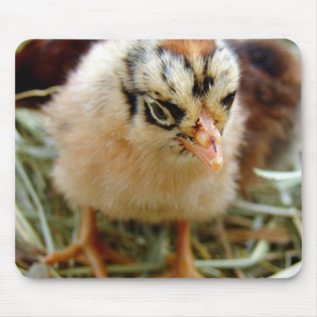 Chick Mouse Pad (Front)