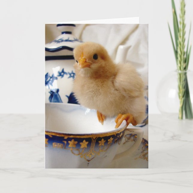 Chick on a Teacup by Angelandspot Card (Front)
