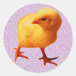 Chick on the Move Classic Round Sticker