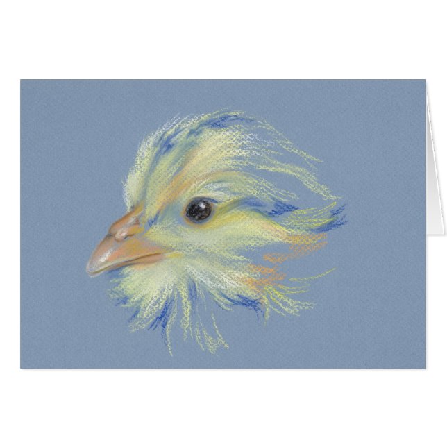 Chick Plymouth Barred Rock (Front Horizontal)