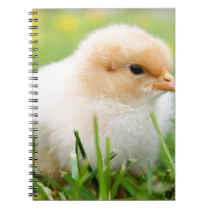 Chick Spiral Notebook