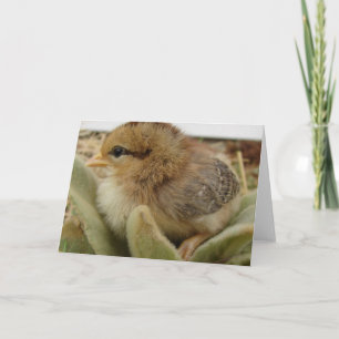 Chick Weed Card