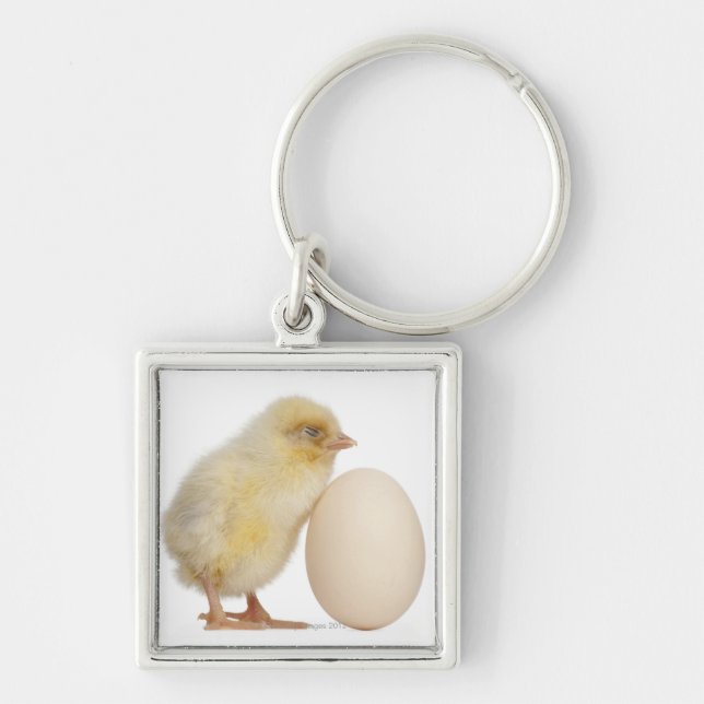 Chick with egg (2 days old) key ring (Front)