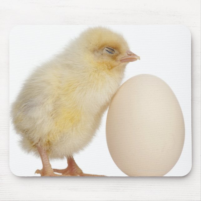 Chick with egg (2 days old) mouse pad (Front)