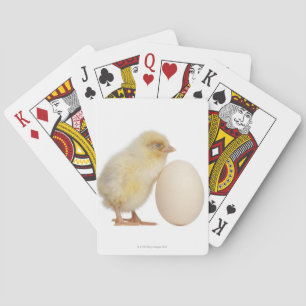 Chick with egg (2 days old) playing cards