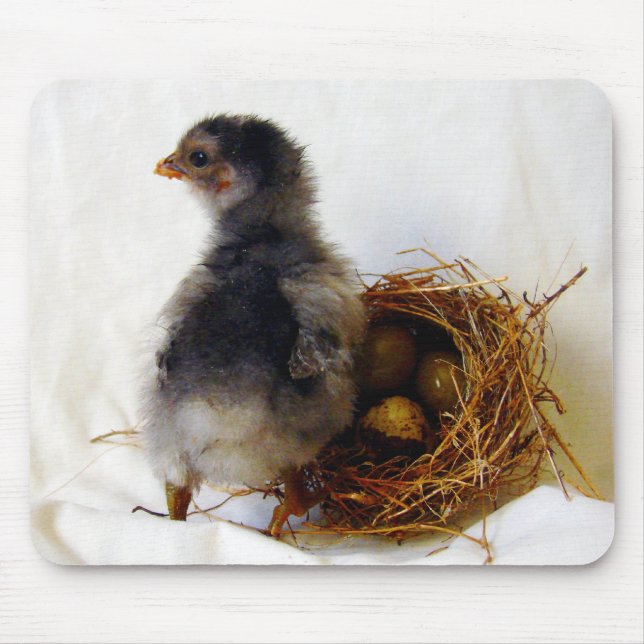 Chick With Nest Mouse Pad (Front)