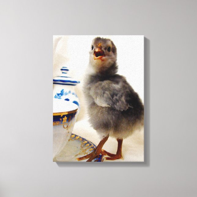 Chick with Teacup Canvas Print (Front)