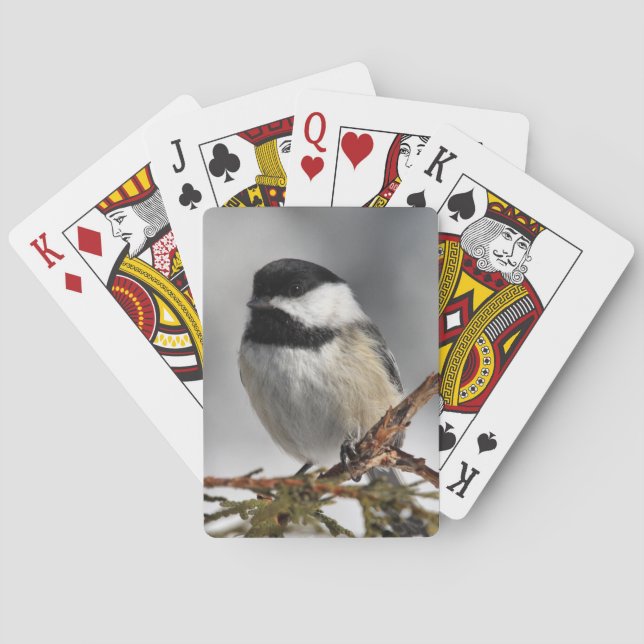 Chickadee_9478 Playing Cards (Back)