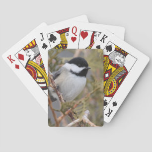 Chickadee_9654 Playing Cards