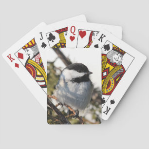 Chickadee 9693 playing cards