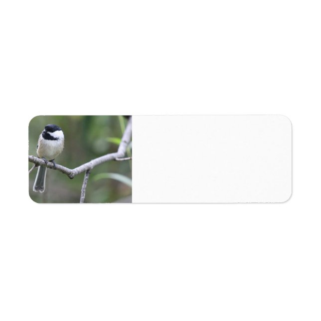 Chickadee address labels (Front)