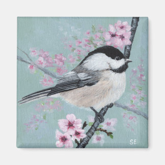 Chickadee and Cherry Blossoms  Magnet