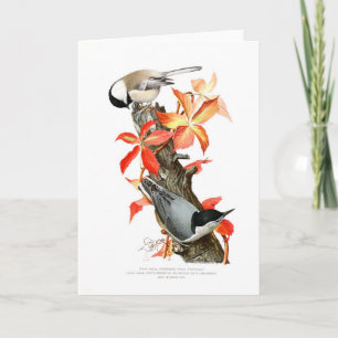Chickadee and Nuthatch Card