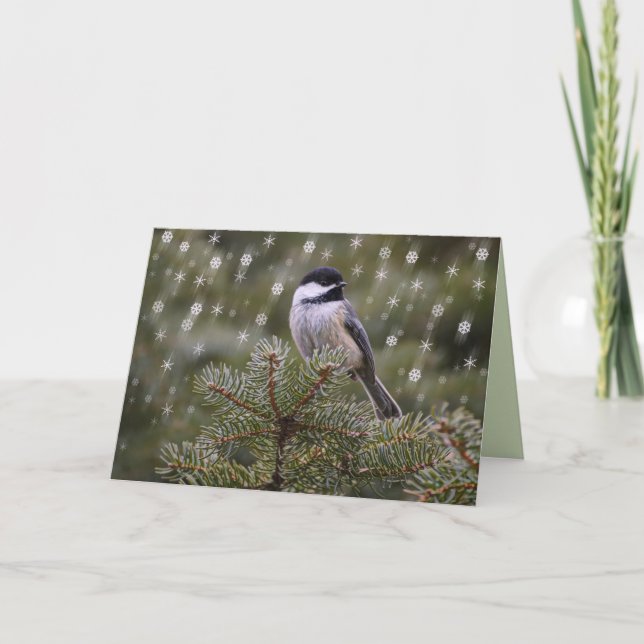 Chickadee Bird in Snow Fall Pine Tree Snowflakes Holiday Card (Front)