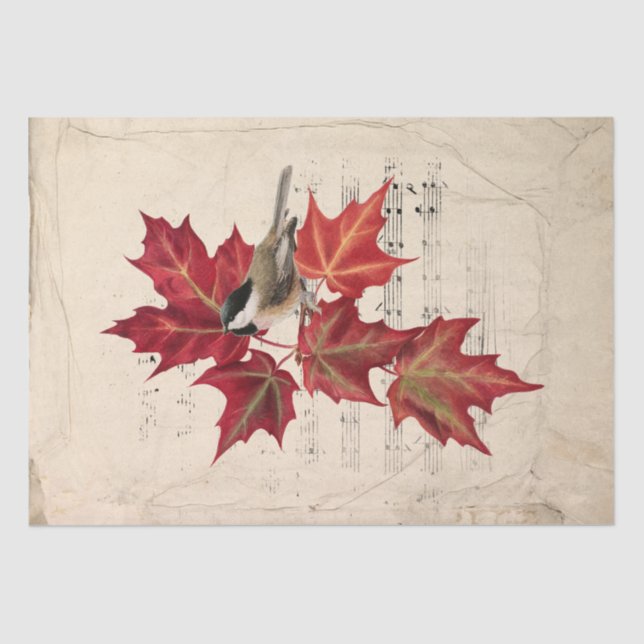 Chickadee Bird Red Autumn Leaves Music Parchment  Tissue Paper (Front)