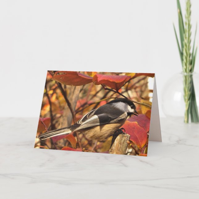 Chickadee Bird with Pink Autumn Leaves Birthday Card (Front)