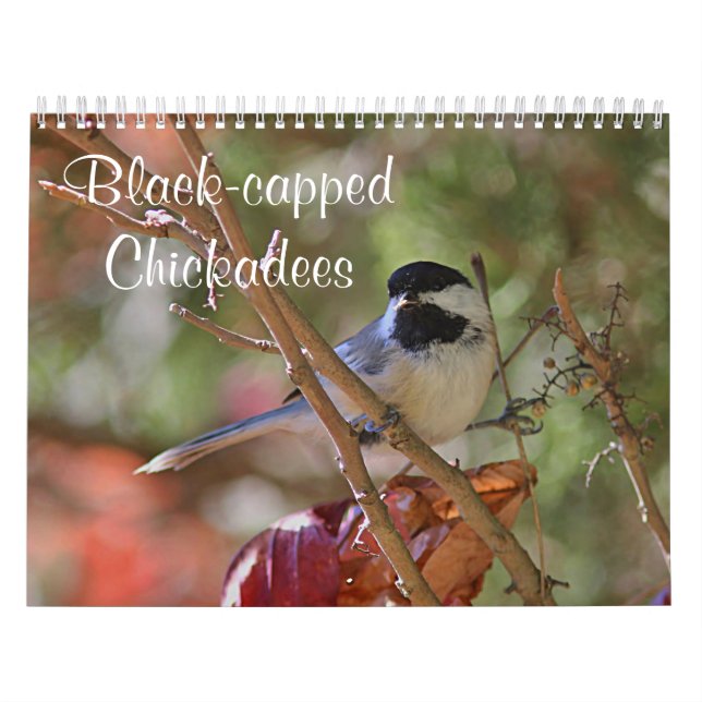 Chickadee Calendar (Cover)