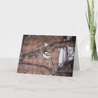 Chickadee Card