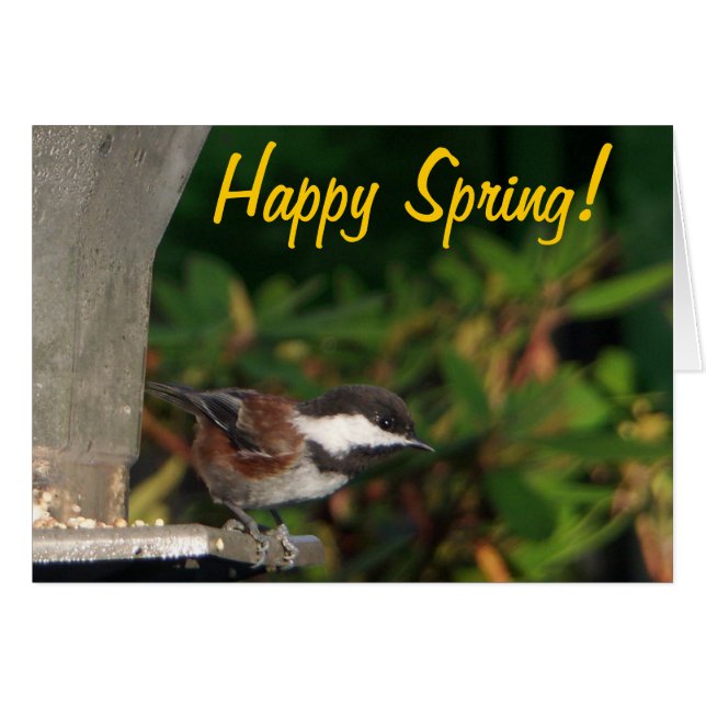 Chickadee Card (Front Horizontal)