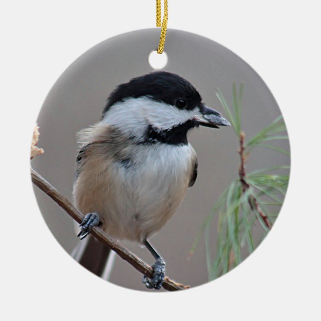 Chickadee Ceramic Tree Decoration (Front)