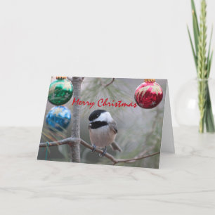 Chickadee Holiday Card