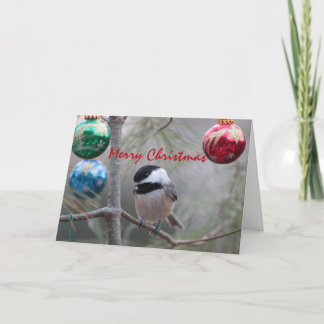 Chickadee Holiday Card