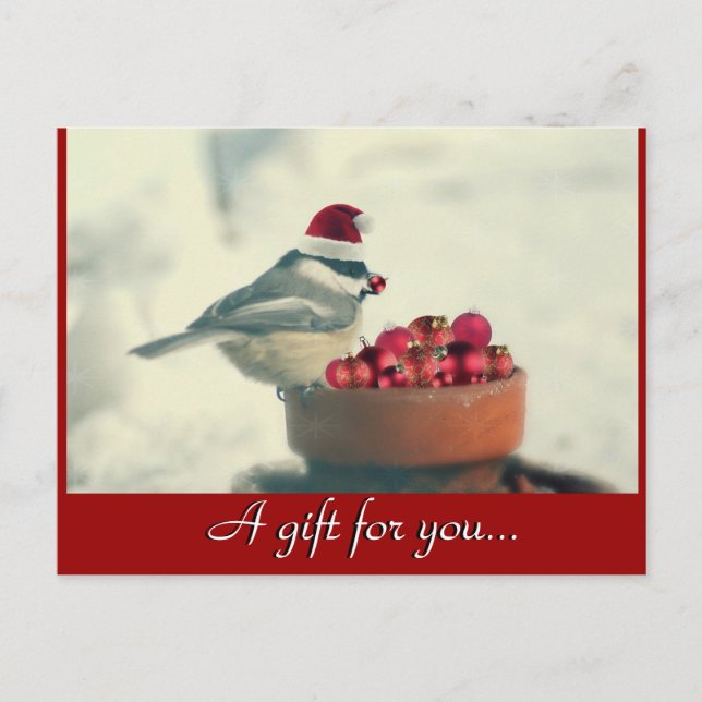 Chickadee Holiday Gift Certificate Postcard (Front)