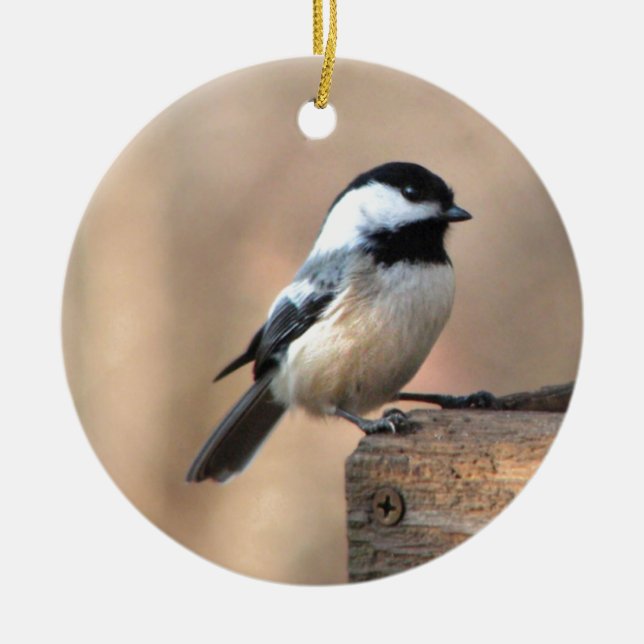 Chickadee in Golden Light Ceramic Tree Decoration (Front)