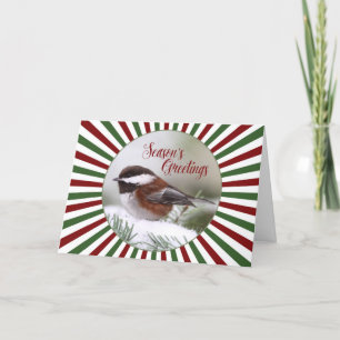 Chickadee in Snow Christmas Card