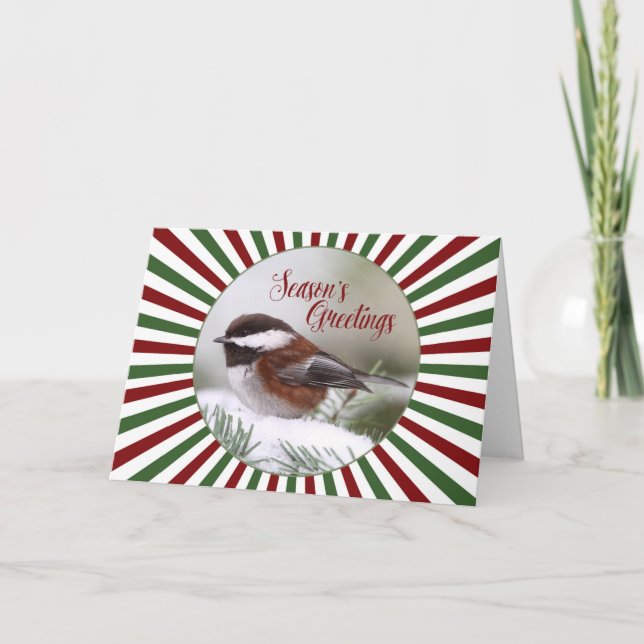 Chickadee in Snow Christmas Card (Front)