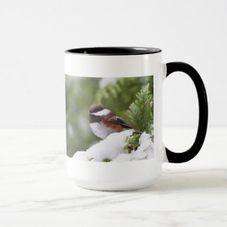 Chickadee in Snow on a Cedar Tree Mug